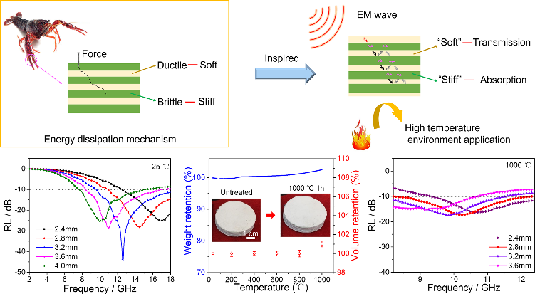Si3N4/SiC 陶瓷氣凝膠結構示意