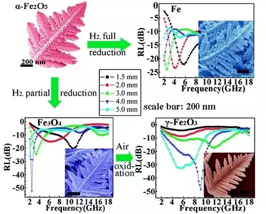 樹枝狀多層次鐵基材料及其吸波性能曲線